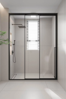 Душевая дверь раздвижная 1700x2000 цвет профиля Чёрный матовый стекло прозрачное PR3/L-170-01-B-C4 Premium Veconi