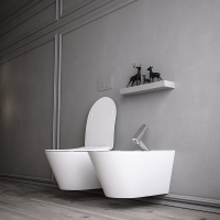 Унитазподвеснойсфункциейбиде,AvvaБелыйматовый (без крышки) 972-2-MW Boheme