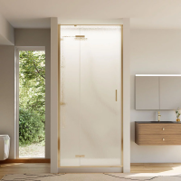 Душевая дверь распашная VN73RG/L-100-06-C4 1000x1950 Цвет профиля Золото брашинг Стекло Дождь Veconi